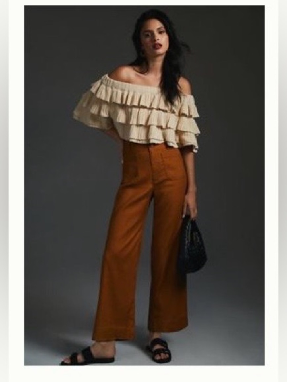 Anthropologie Maeve Colette Cropped Wide Leg Linen Pants Bronze Sz 29 EUC